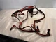 Cummins 4B3.9 6A3.4 6B5.9 B4.5 DIESEL ENGINE MAIN WIRING HARNESS 4938672 OEM