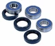 Honda TRX450FE Foreman ATV Rear Wheel Bearings 02-04