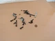 Weed Eater FeatherLite FX26S String Trimmer OEM Misc Hardware