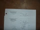 Bobcat A300 Skid Steer Hydraulic Hydrostatic Schematic Diagram Manual 526411001