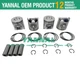 Piston Kit W Ring Set for Volvo Engine D3.4 D3.4DCAE3 D3.4A Loader MC90B MC110B