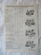 1961 Oliver OC6 OC9 OC12 OC15 Crawler Tractor  Specification Data Sheet 8x11
