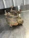 Marvel Schebler TSX101 Carburetor Continental Y112 Engine
