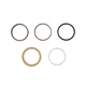 Track Tensioner Seal Kit Fits Bobcat Skid Steer T190 T180 T250 T300 Excavators