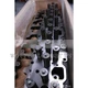 2864028 Complete Cylinder Head Assembly Fits For Cummins ISM QSM11 M11 Engine