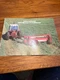 International Harvester 1190 Mower Conditioner Haybine For 1979 Brochure FCCA