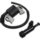 Ignition Coil Kit Spark Plug Cap Honda EW140 EXW171S FR800 GX390 GX340 FRC800