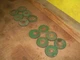 Oliver 1550,1555,1600,1650,1655,1750,1755,1800,1850 farm tractor fender washers
