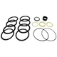 1543270C1 Hydraulic Cylinder Seal Kit Fits Case Backhoe 680L 680G 680H