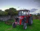Massey Ferguson  MF303-MF404-MF406-MF1001 Service Manual & Attachment Manual CD
