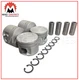 PISTON & RING SET NISSAN QD32 FOR CARAVAN ELGRAND PATHFINDER 3.2LTR DIESEL 97-05