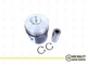 Piston With Ring STD For Deutz 04232417 BF 4L913, BF 6L 913, (102MM, 49mm).