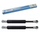 Gas Springs for Case IH Maxxum 100 110 115 120 125 140 Door 2 Piece 87374182 YOU.S
