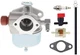632098 Carburetor for Toro 20511 20586 20587 20588 20611 Mower