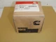 Cummins 5527534  Diesel Engine Piston Kit  Rebuild, Service, Overhaul  OEM  B3.3