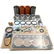 S4L S4L2 Overhaul Rebuild Kit for Mitsubishi engine caterpillar 304CR excavator