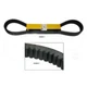 5L5015 Belt Set (2) Fit Caterpillar 627 950 3126B C-9 C7 C9 D6C D342C G342C