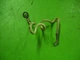 2010 HINO 268 Engine J08E-TV Generator Alternator GROUND WIRE oem
