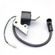  Ignition Coil Robin FOR EY15 EY20 EY200 EY23 GENERATOR LAWN MOWER CO20