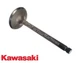 OEM KAWASAKI, EXHAUST VALVE, 12005-2100, FD750D, FD791D ENGINES, MOWERS, 9D22
