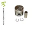 New Piston STD Fits Perkins 104-22 