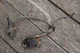 Honda HT-R3811 HT-R3009 Ignition Coil USED OEM 30500-ZE9-003 SOLD EACH