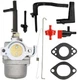 Carburetor For Briggs & Stratton Storm Responder 5500 8250 Generator 030430 Carb
