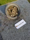 Kubota RCK48 RCK54 RCK60 OEM Spindle Assembly K5221-71210 K5371-34552 Pulley