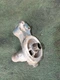 Kubota L2350DT OEM Hydraulic Oil Filter Cover 38240-37720