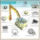 Arm Boom Bucket Seal Kit For Hitachi UH083 UH083LC Excavator Service Kit