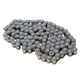 Primary Drive 428 C Professional Chain 428x86 Fits HONDA ATC90 ATC110 1021210001