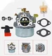 Carburetor W Gaskets Tuneup Kit Replacement F  Ford T-800 Ford 80 Garden Tractor
