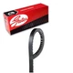 Gates Accessory Drive Belt For 1980-1982 Mack MS200P Mid-Liner