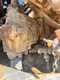 Terex TA40 Articulated Dump Truck Hydraulic Pump - Part No. 15257085