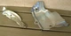 Genuine OEM KOHLER RH255 RH265 Shield Set 1831420S 1831425S USED