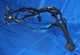 Eaton Fuller RoadRanger UltraShift Plus Automated Manual Transmission Harness