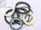 Whole Machine Seal Kit Case 1845, 1845B, 1845C Skid steer Loader (2Lift &2Tilt)