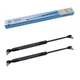 Gas Struts for Valmet-Valtra - Door - Set of 2 - V31517920 YOU.S Genuine