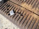 McCormick Farmall F20 IH Tractor gas line from tank to carburetor
