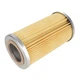 AGCO (OEM) 729574M1 Suction Filter for Massey Industrial Tractor Loaders MF20F M