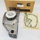 4955844 3047469 Water Pump For Cummins NT88 BIG CAM NTC300 NTC315 Diesel Engine