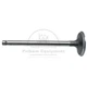 Inlet Valve for Ford Tractor 2000-7000, Engine BSD326-444T, 81823823, C5NN6507B