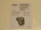BRIGGS & STRATTON SMALL OHV ENGINE OPERATOR'S MANUAL- MODEL#120000,150000 &