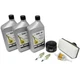 RUSSO Tune Up Kit 10W-40 for Kawasaki FR541V FR600V Engine 99969-6343 99969-6296