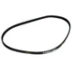 Drive Belt 5 RIB X 34.375 inch for Toro Wheel Horse CR2400 CCR3650 CCR1000