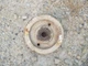 Woods L59 L306 Belly mower Tractor deck blade spindle top belt drve pulley 10555