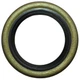 PTO SHAFT OIL SEAL Fits Case 310 CRAWLER 310C 310D 310E 310F 420C INDUSTRIAL 320