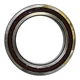 ST589 New Planet Carrier Rear Bearing Fits Case-IH Tractor Models 2504 2544 300