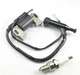 Honda Ignition Coil & Plug for EXW171S FR800 EW140 EW171 EW171K1 EX4500SK1