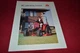 Massey Ferguson 1220 1230 1240 1250 1260 Tractor Dealer's Brochure YABE5 